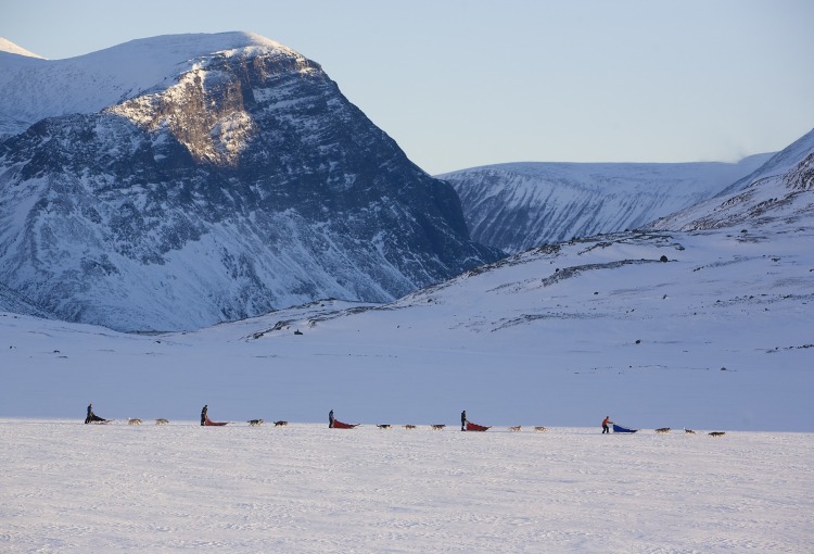 Zelt-Abenteuer mit Huskys
